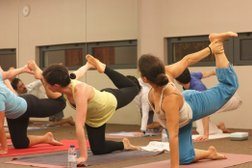 Yoga Live Academy
